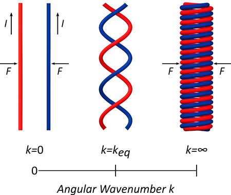 Red and blue lines, first running parallel to one another, last in a tight coil, and in the center, loosely wrapped around one another.