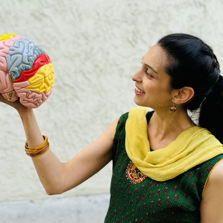 person holding a colorful model of the brain up and looking at it