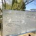 Photo of a large whiteboard with brainstorming notes about black hole imaging written out on it