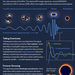 Infographic explains how scientists use overtones to study black holes.