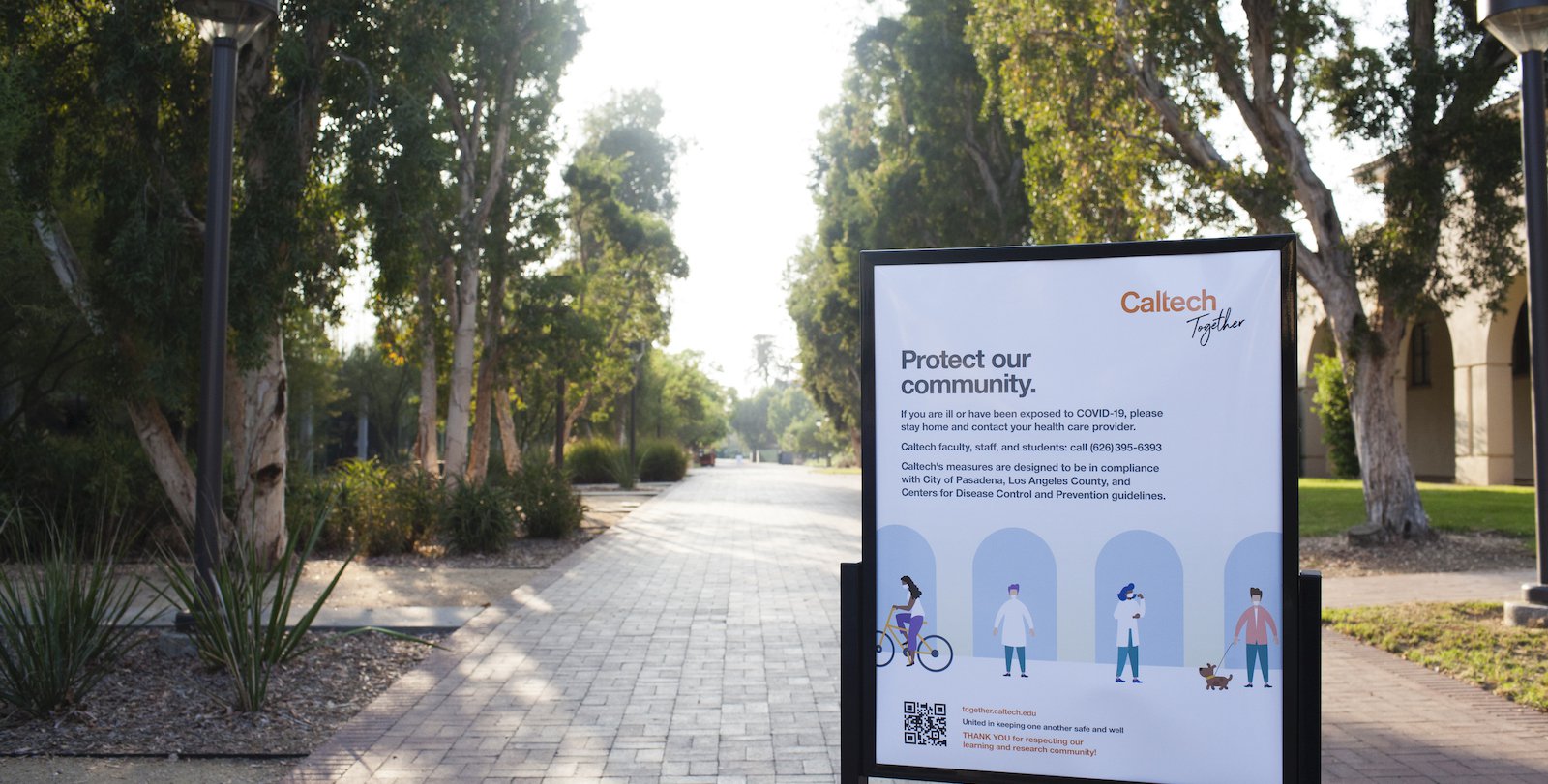 Moore Walk on the Caltech campus with a Caltech Together sign