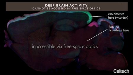 How integrated neurophotonics could unlock circuits buried deep in the brain
