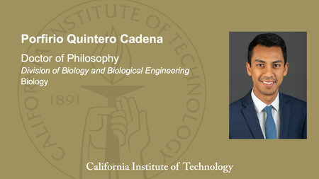 Porfirio Quintero Cadena