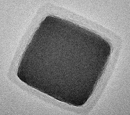 Wei_Gao-Caltech-TEM-image-of-a-coreshell-nanoparticle-WEB