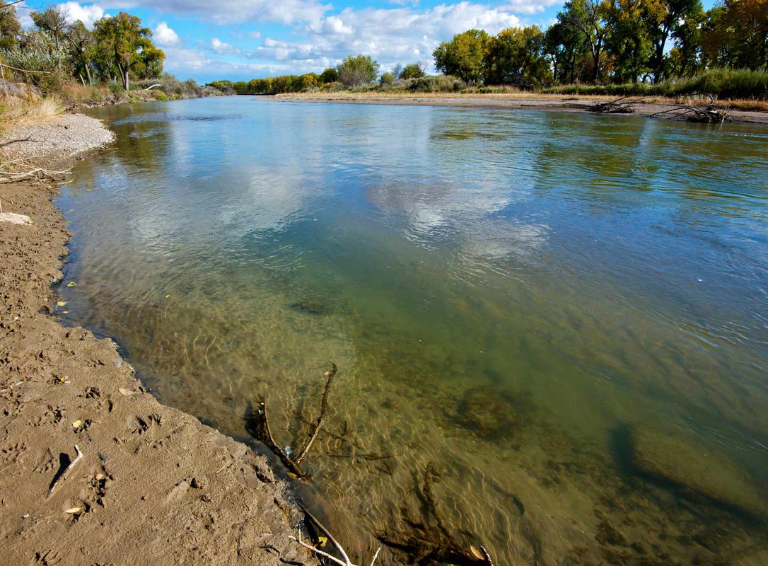 Stock image of a riverbank