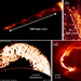 Four images showing braided structures of different sizes: an astrophysical jet, the double helix nebula, solar flares, and a laboratory-created mini double helix structure.