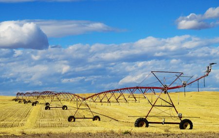 Irrigation equipment sits in a field of hay