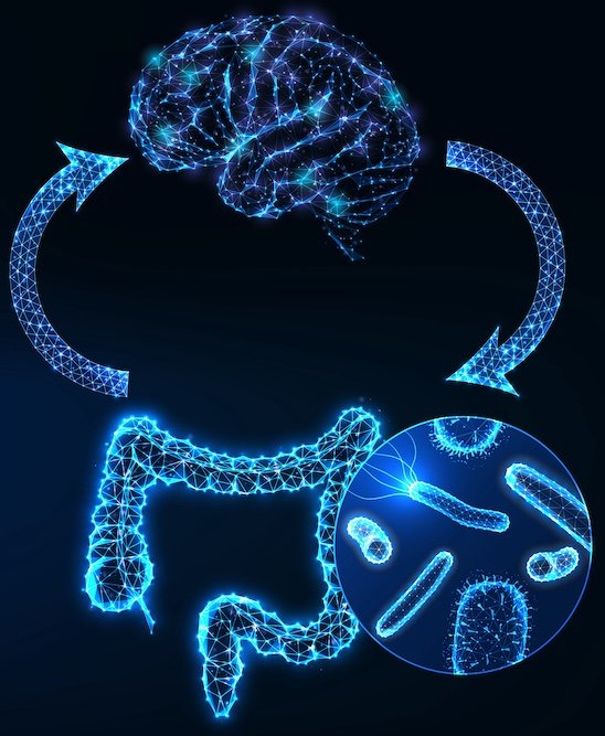 gut brain axis