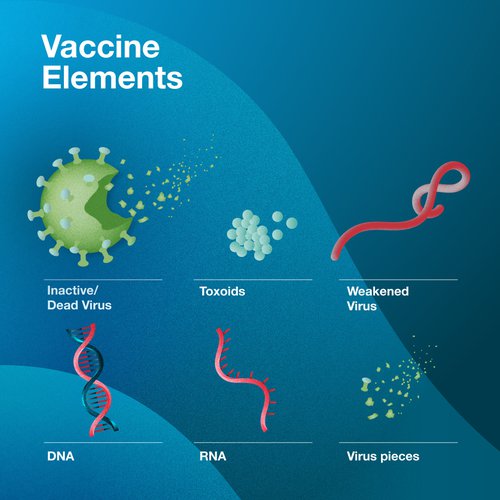 Elements of a vaccine