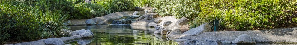 Throop Pond