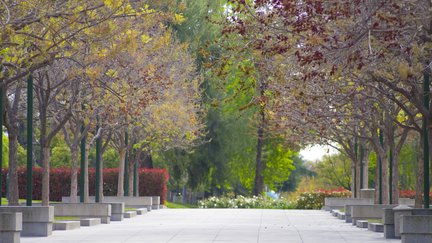 Moore walk