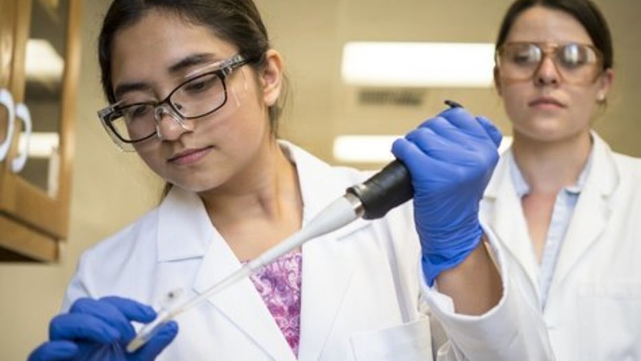 Lab