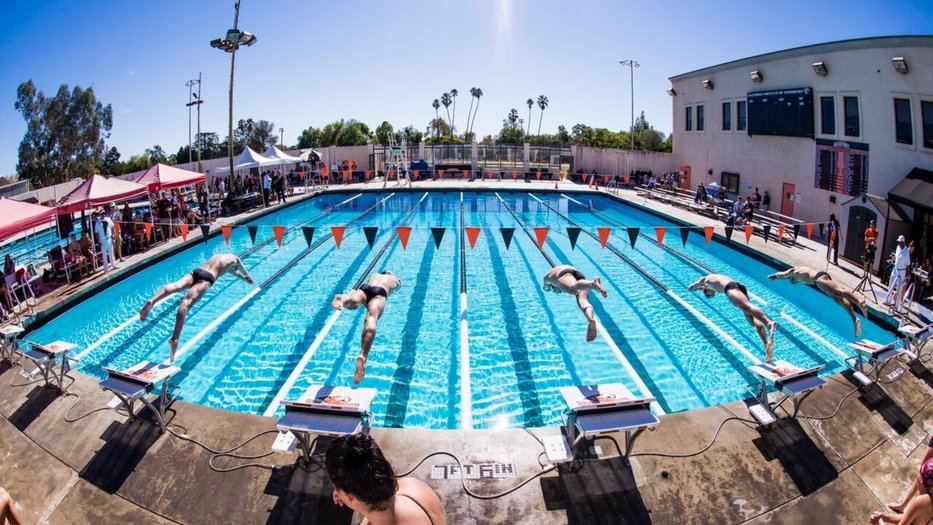 Swim Team Meet