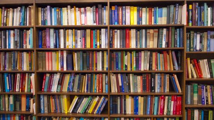 Textbooks on a shelf