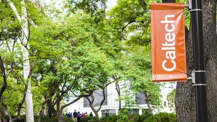 Caltech banner with foliage