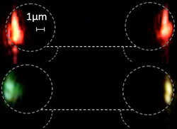 Measurement of third harmonic generation