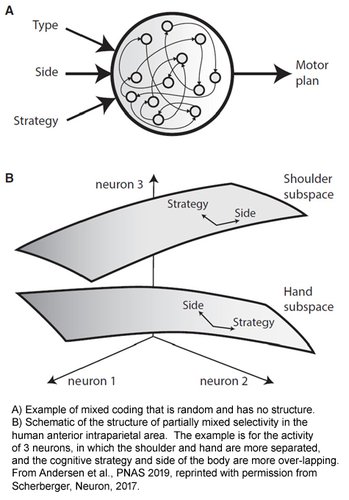 figure_3_scherberger_475_copy.jpg